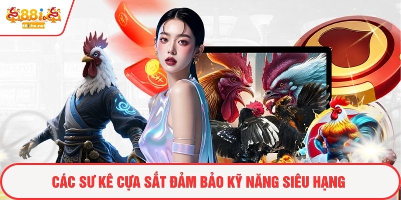 Các sư kê cựa sắt đảm bảo kỹ năng siêu hạng